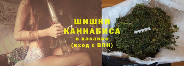 дживик Тобольск