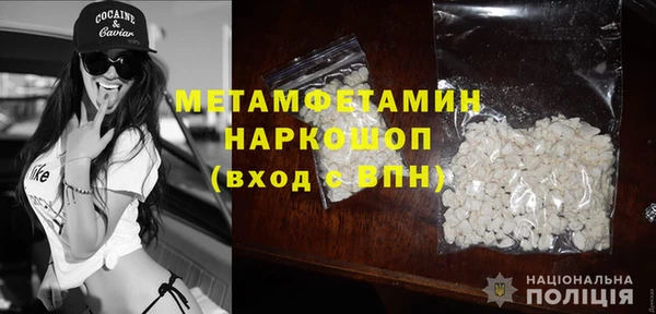 сатива Кедровый