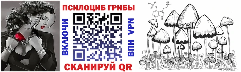 Галлюциногенные грибы MAGIC MUSHROOMS где найти Новосокольники